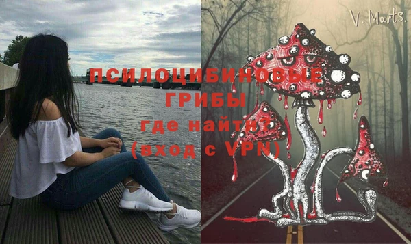 дурь Белокуриха